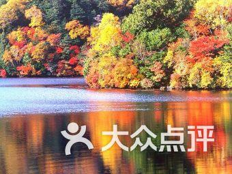 吸血鬼的谜语