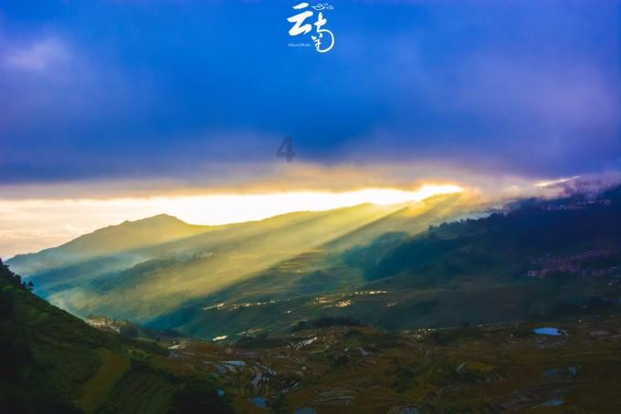 虫虫助手下载