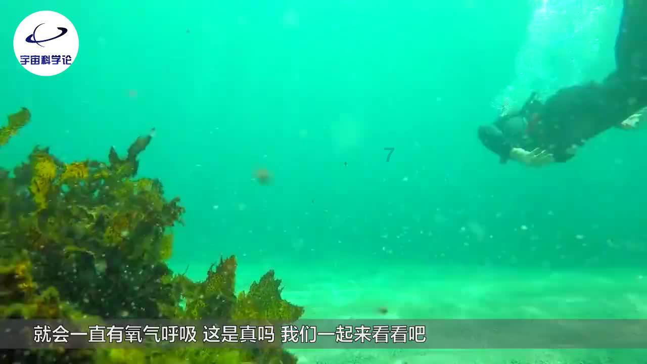「寻梦启航」哔哩哔哩创作激励计划现已开启!